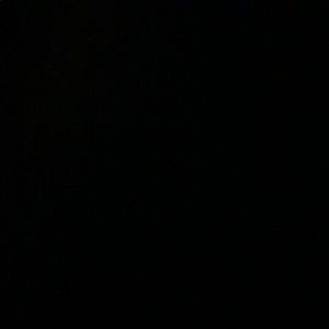 Meet your Posher, Tj